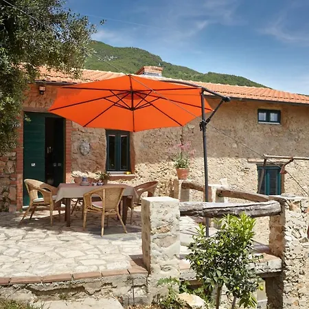 Casa Berti - Urlaub Im Olivenhain