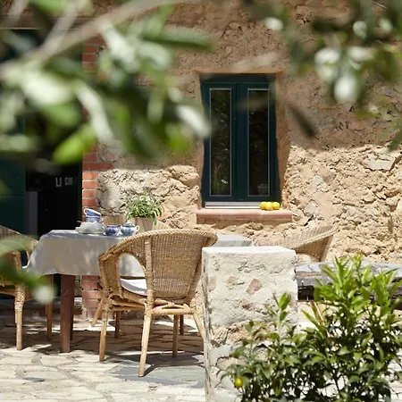 Casa Berti - Urlaub Im Olivenhain Camaiore