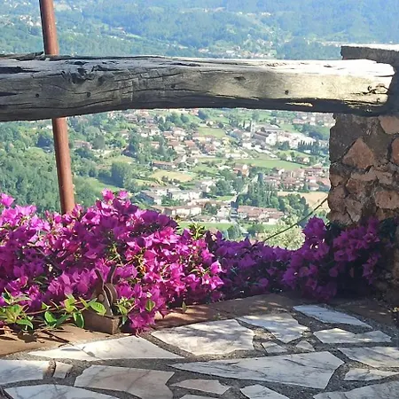 Vakantiehuis Casa Berti - Urlaub Im Olivenhain Camaiore