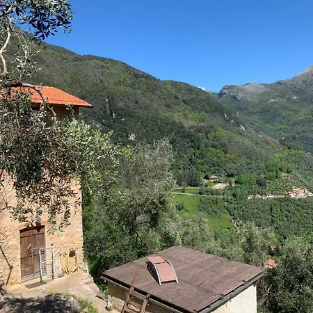 Casa Berti - Urlaub Im Olivenhain Vakantiehuis