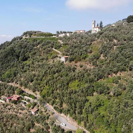 Σπίτι διακοπών Casa Berti - Urlaub Im Olivenhain *