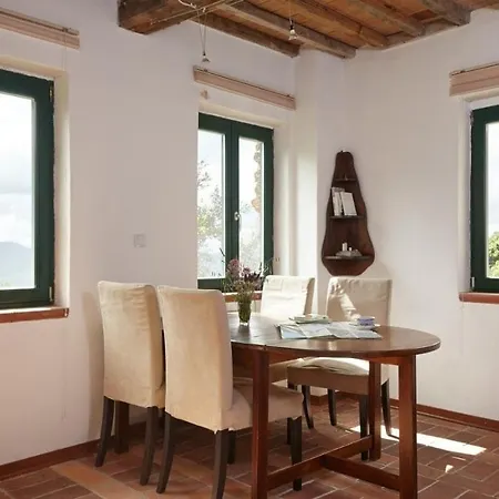 Casa Berti - Urlaub Im Olivenhain Camaiore